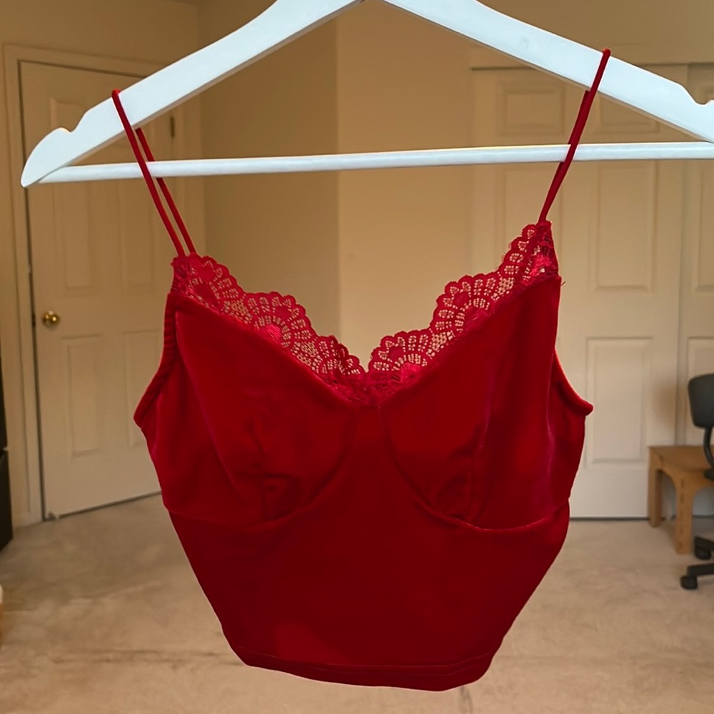 Velvety Red Crop Top